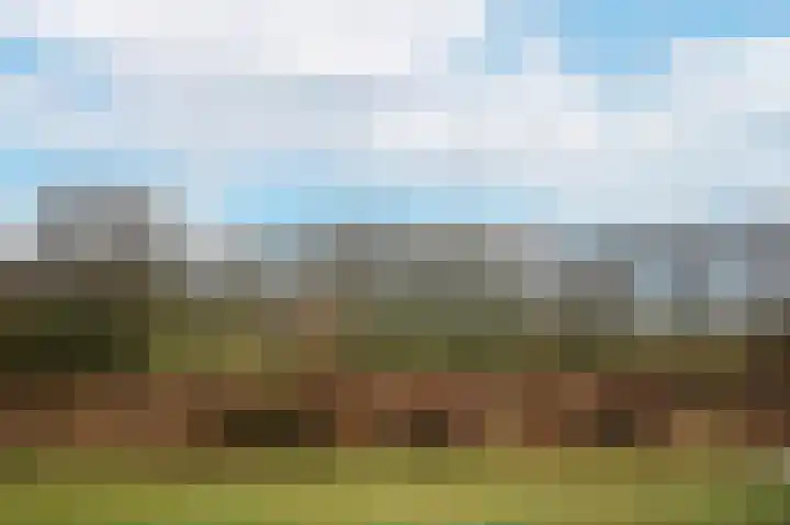 Dorpsstraat 91 Wamel thumbnail 59