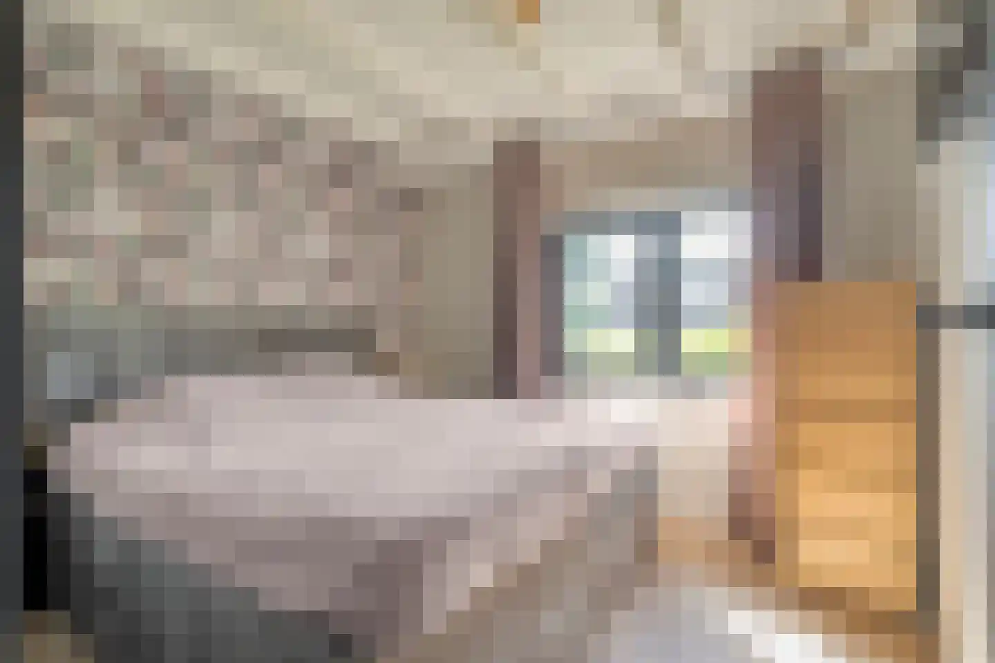 Dorpsstraat 92 Kloosterhaar thumbnail 27