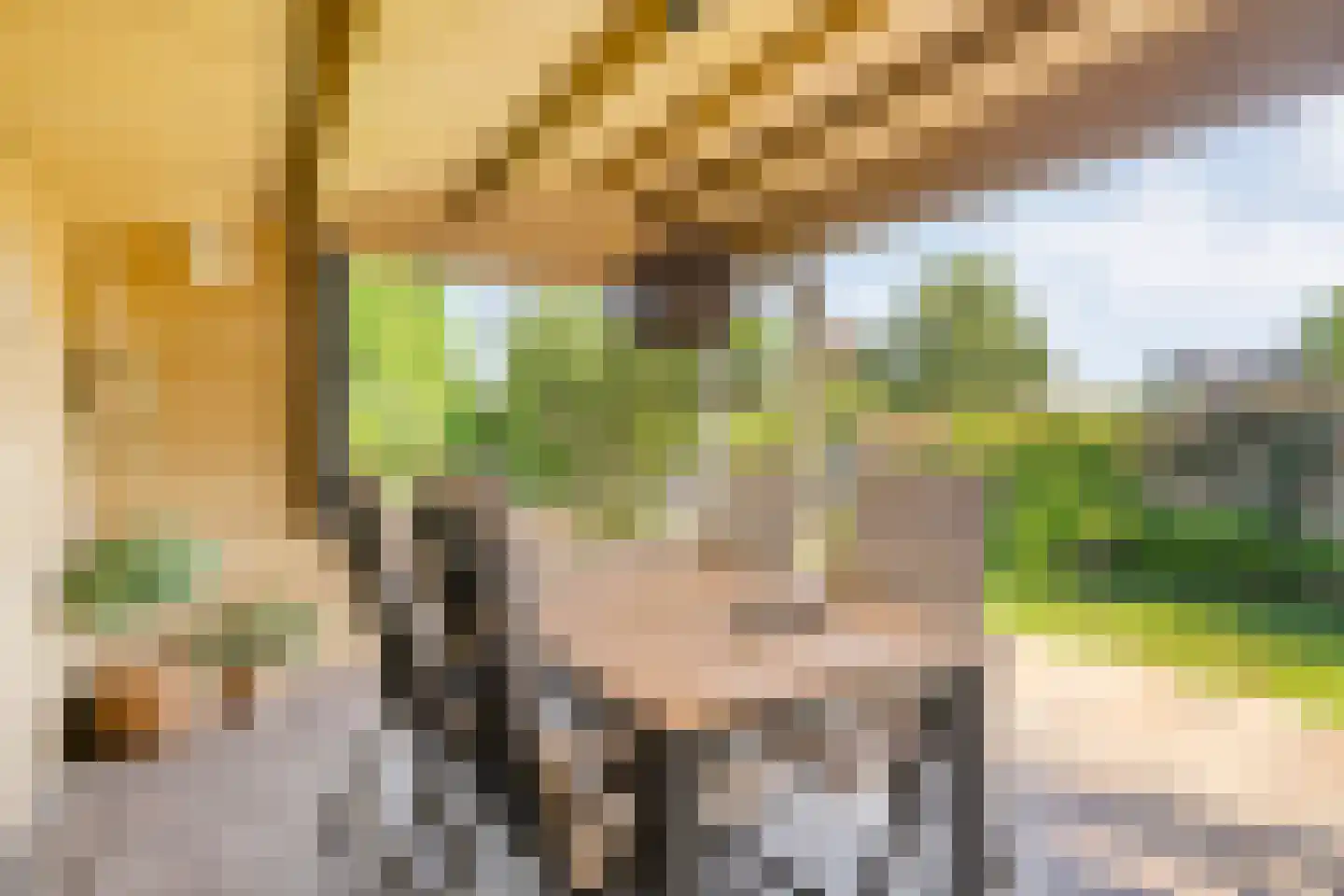 Dorpsstraat 92 Kloosterhaar thumbnail 38