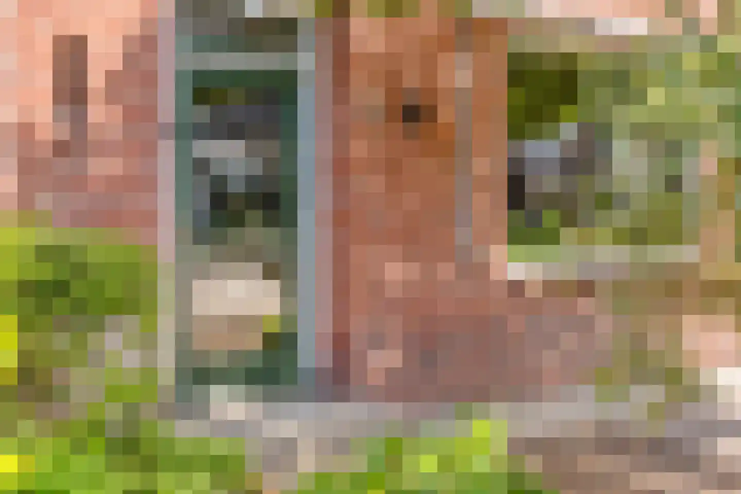 Dorpsstraat 92 Kloosterhaar thumbnail 4