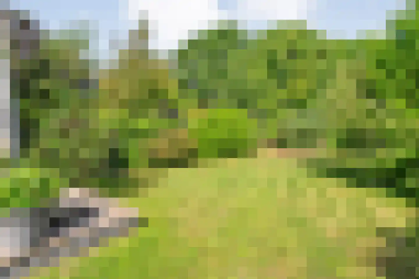 Dorpsstraat 92 Kloosterhaar thumbnail 42