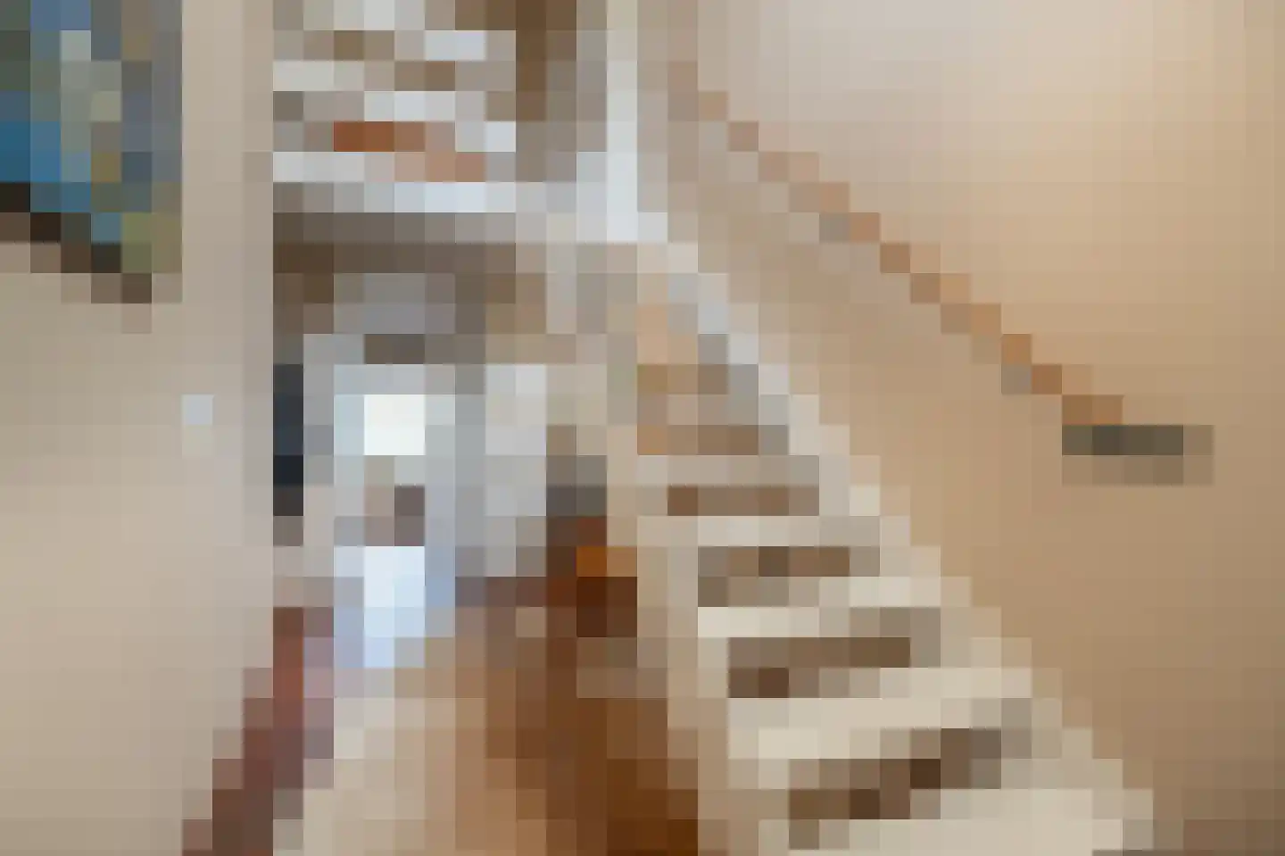 Dorpsstraat 92 Maasdam thumbnail 12