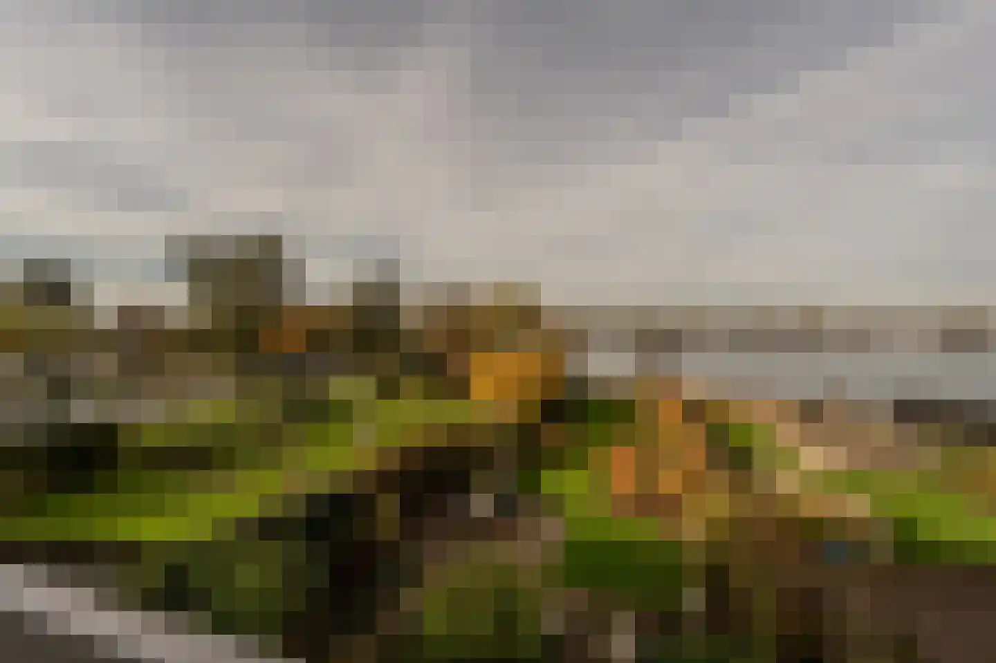 Dorpsstraat 92 Maasdam thumbnail 12