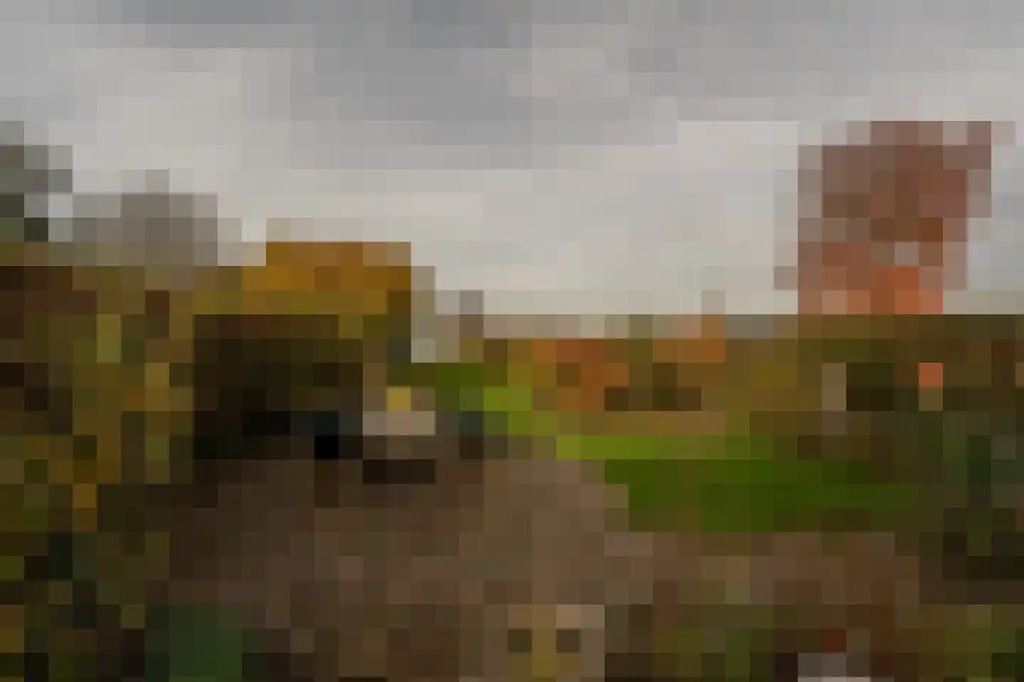 Dorpsstraat 92 Maasdam thumbnail 14