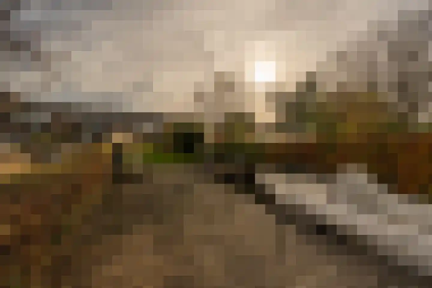 Dorpsstraat 92 Maasdam thumbnail 18