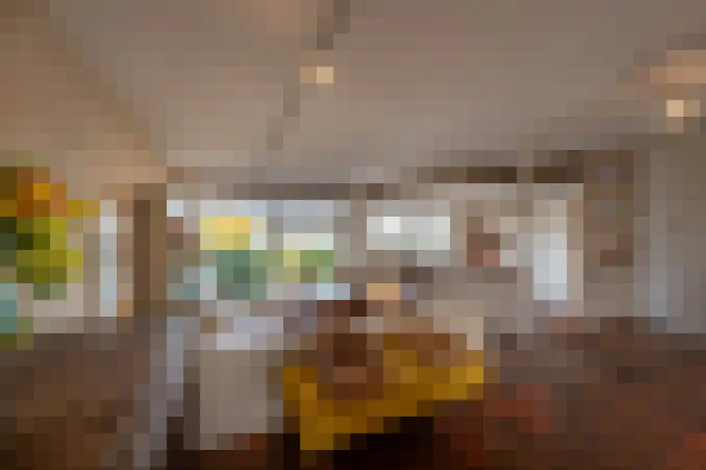 Dorpsstraat 92 Maasdam thumbnail 18