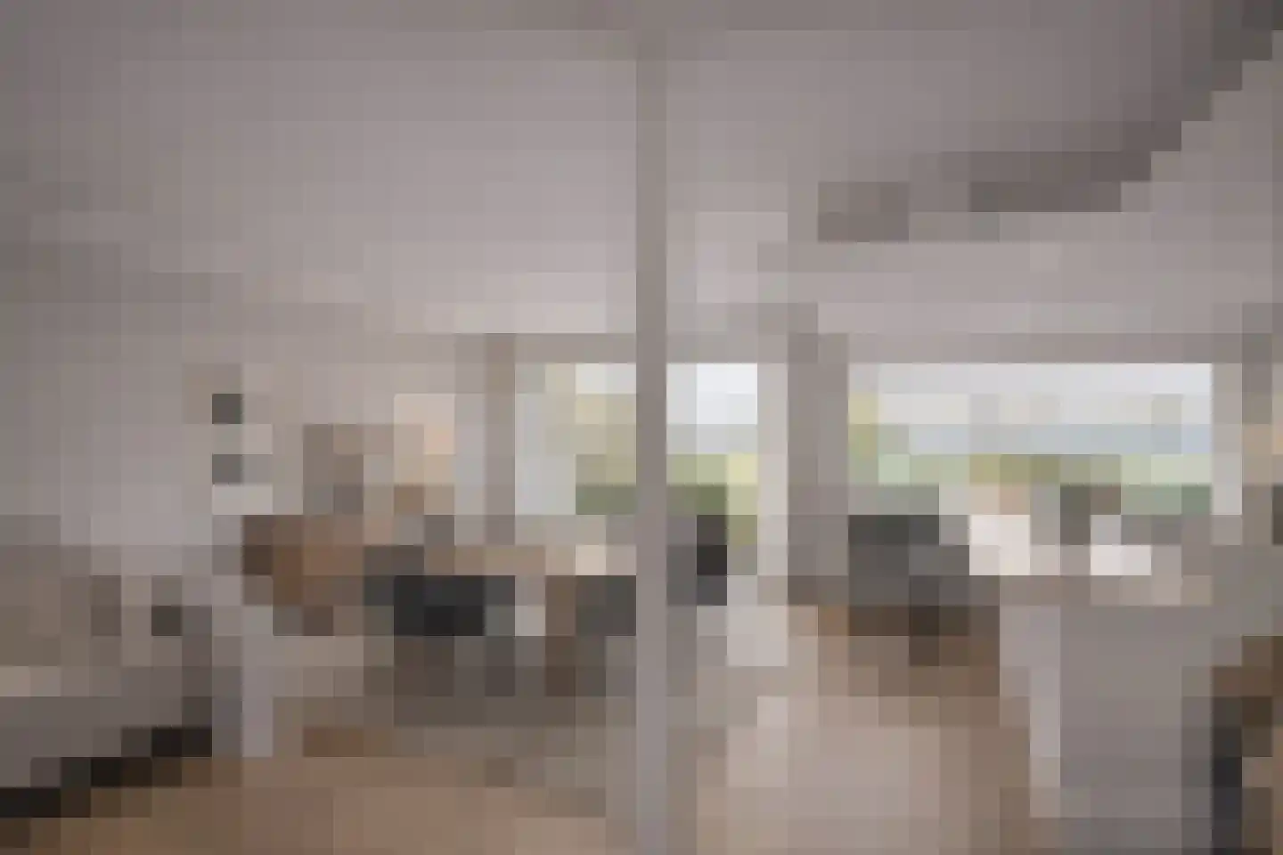 Dorpsstraat 92 Maasdam thumbnail 19