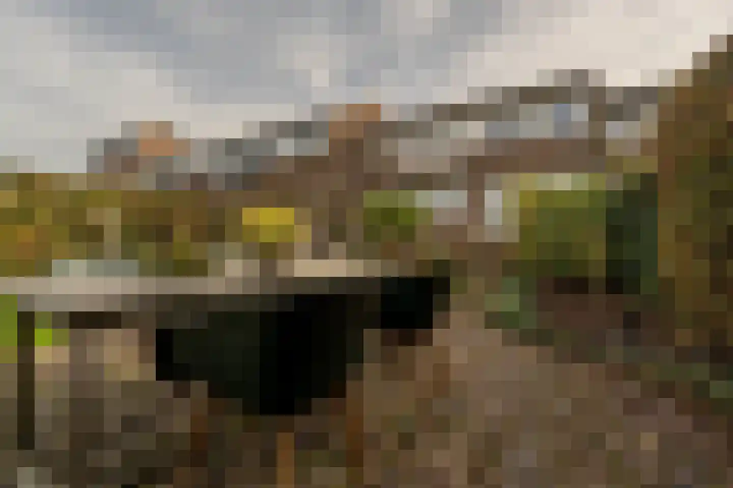 Dorpsstraat 92 Maasdam thumbnail 19