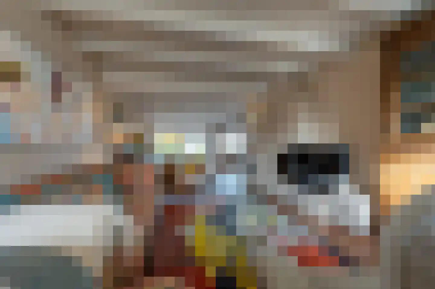 Dorpsstraat 92 Maasdam thumbnail 23
