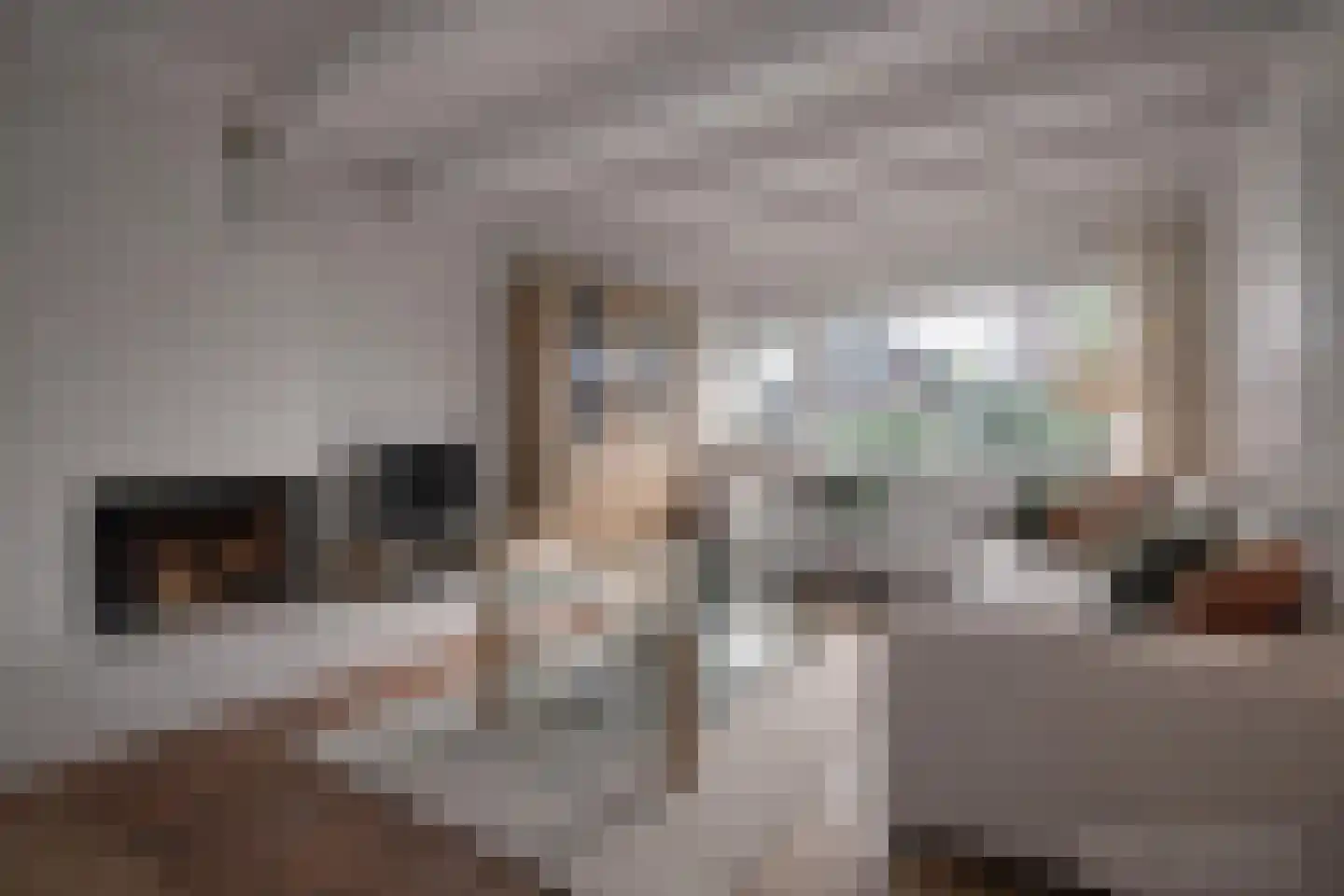 Dorpsstraat 92 Maasdam thumbnail 24
