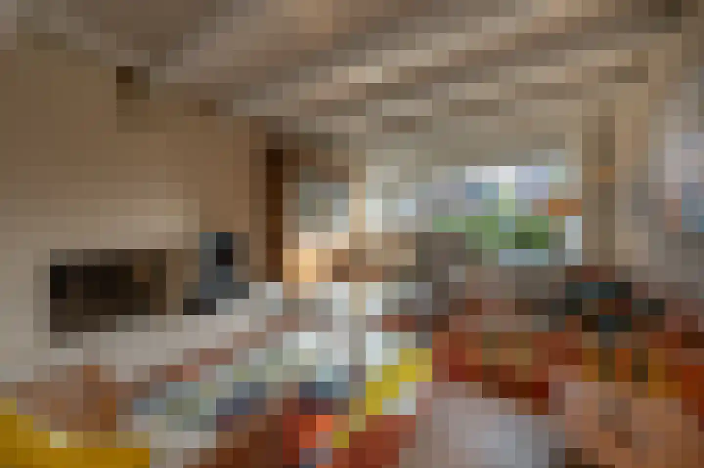 Dorpsstraat 92 Maasdam thumbnail 25