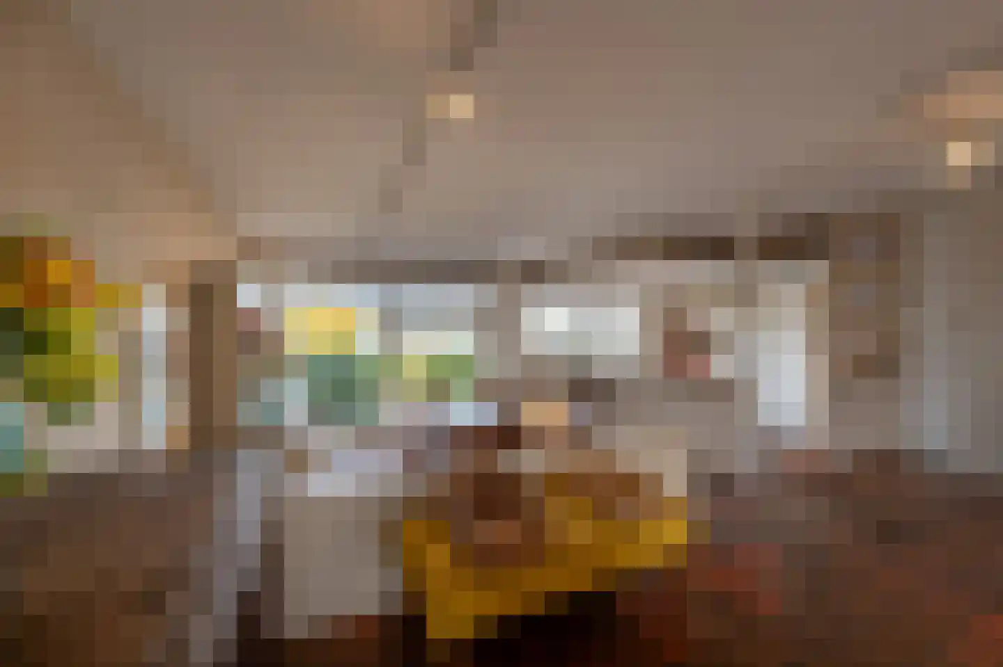 Dorpsstraat 92 Maasdam thumbnail 26