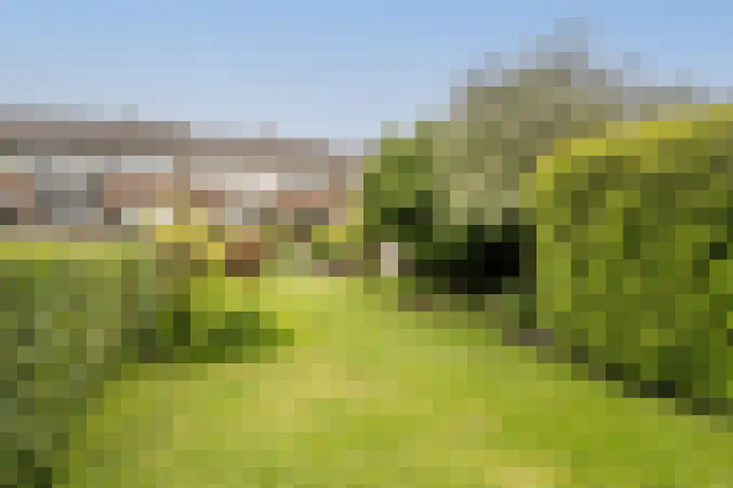 Dorpsstraat 92 Maasdam thumbnail 26