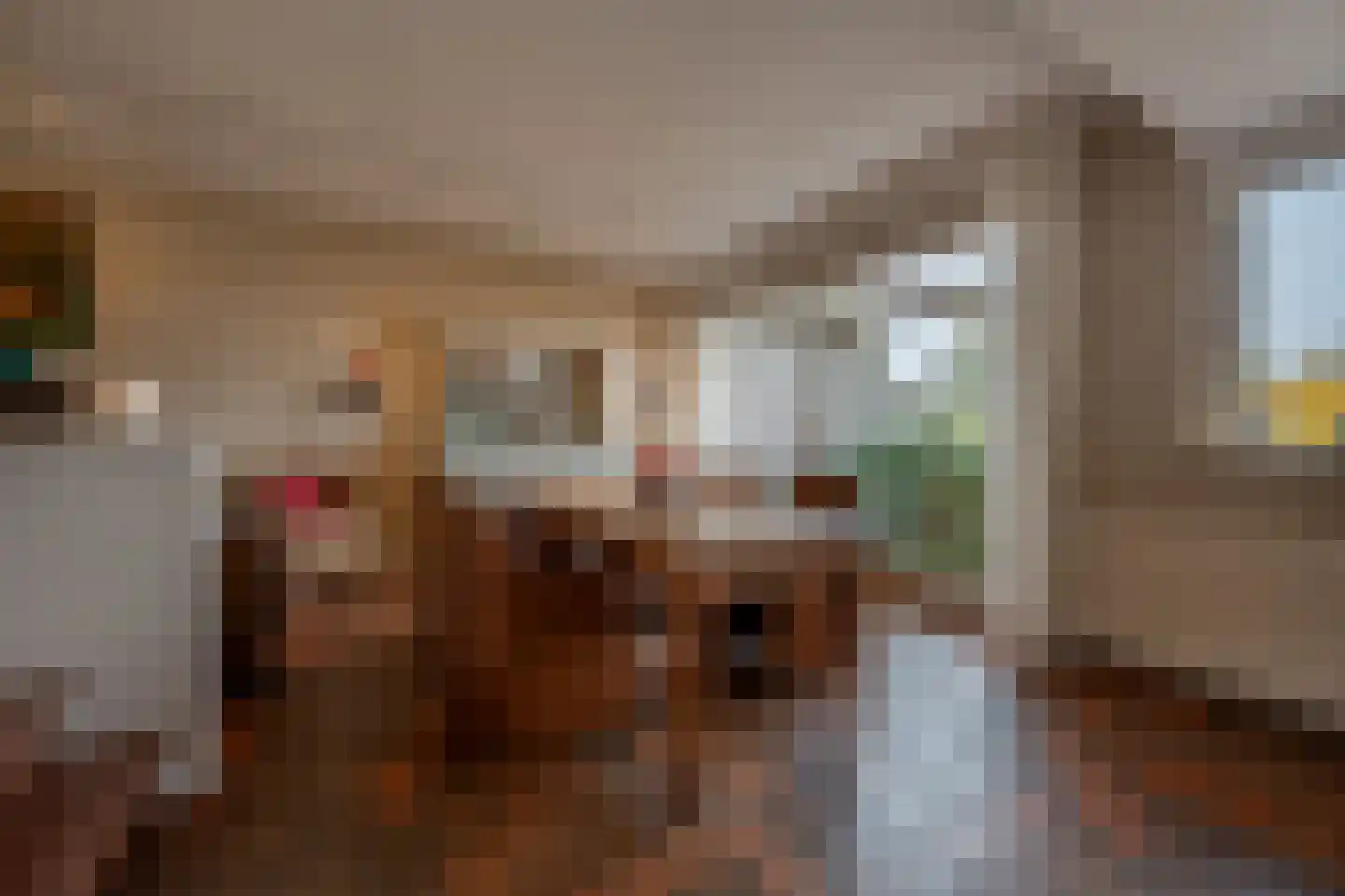 Dorpsstraat 92 Maasdam thumbnail 29