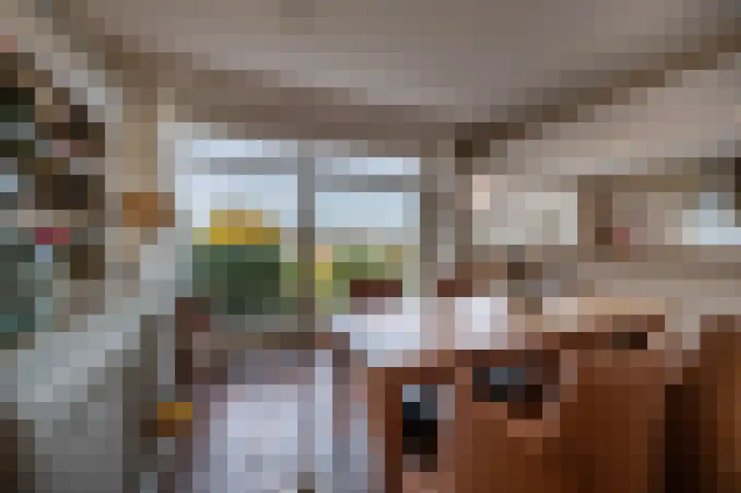 Dorpsstraat 92 Maasdam thumbnail 32