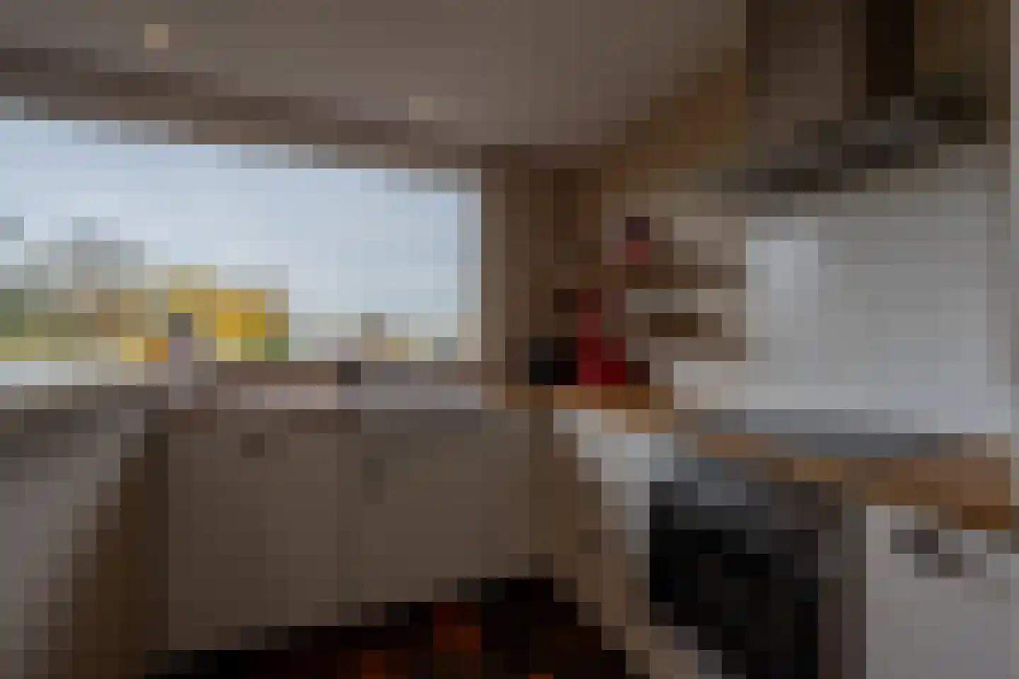 Dorpsstraat 92 Maasdam thumbnail 34