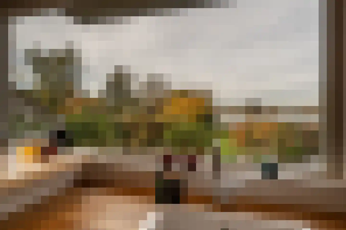 Dorpsstraat 92 Maasdam thumbnail 35