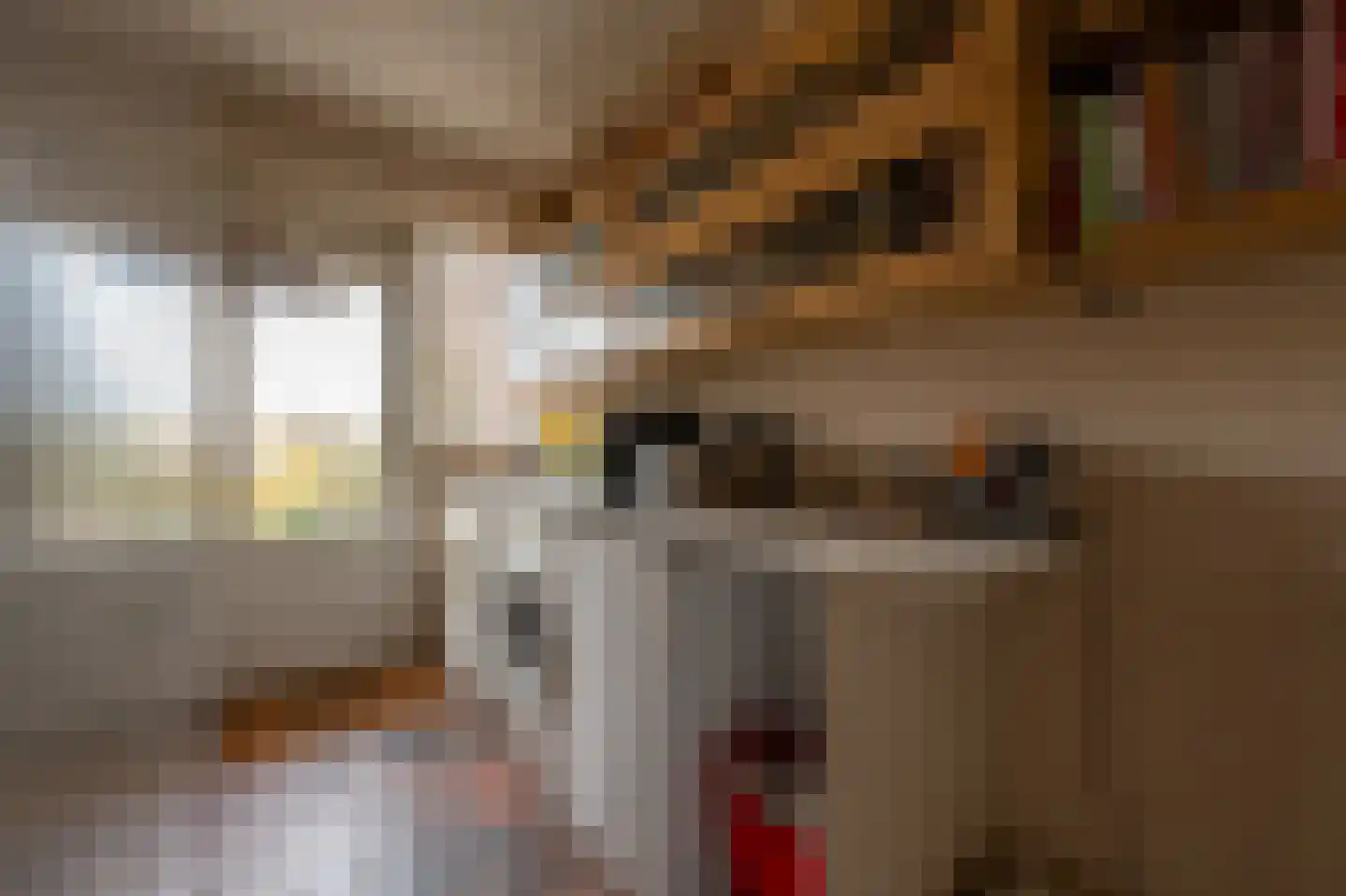 Dorpsstraat 92 Maasdam thumbnail 36