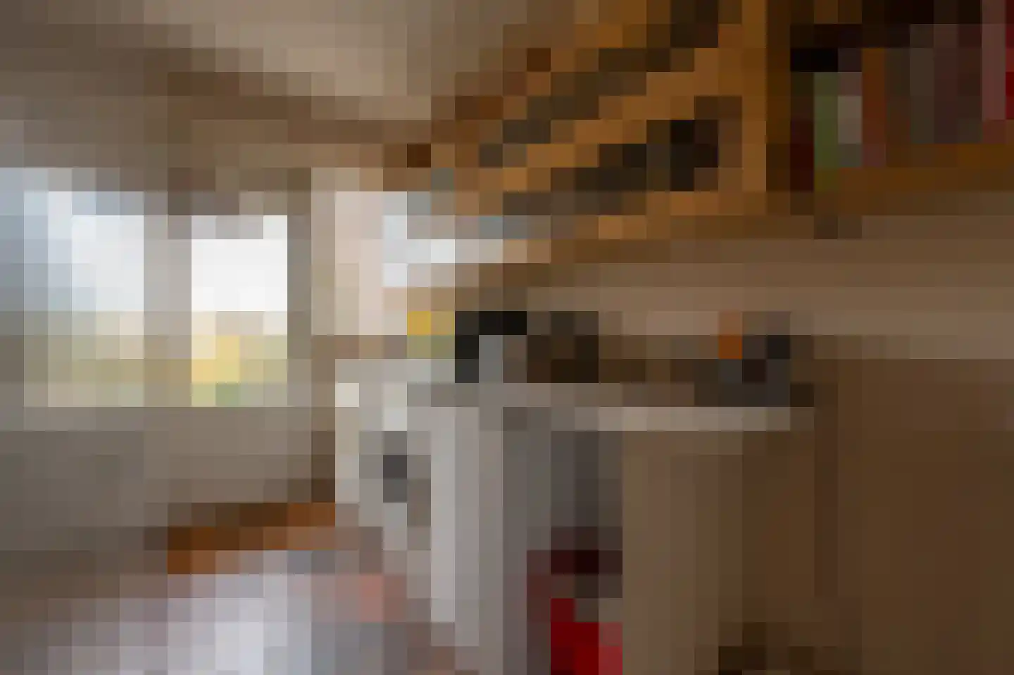 Dorpsstraat 92 Maasdam thumbnail 36