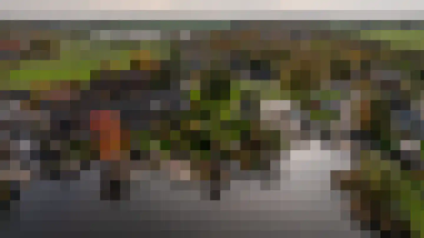 Dorpsstraat 92 Maasdam thumbnail 4