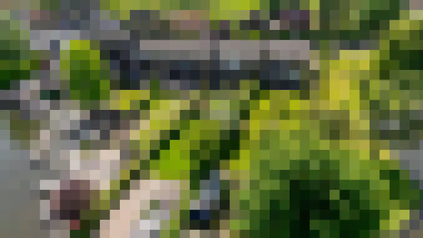 Dorpsstraat 92 Maasdam thumbnail 4