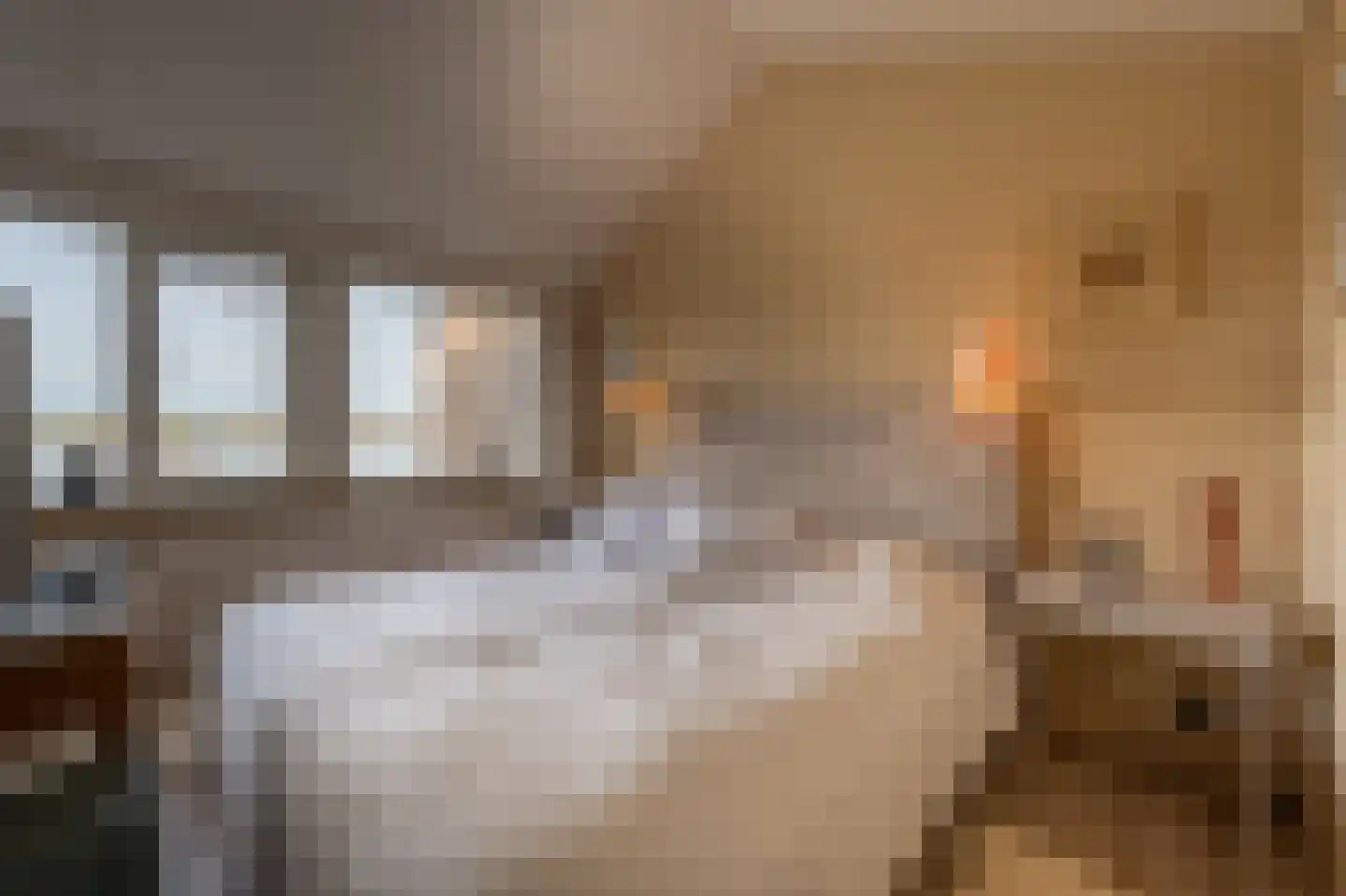 Dorpsstraat 92 Maasdam thumbnail 40