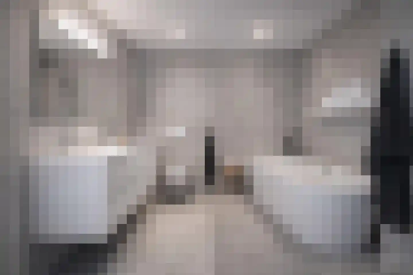 Dorpsstraat 92 Maasdam thumbnail 41