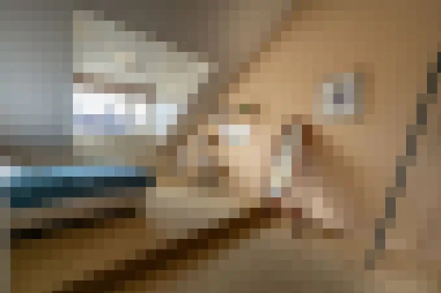 Dorpsstraat 92 Maasdam thumbnail 43