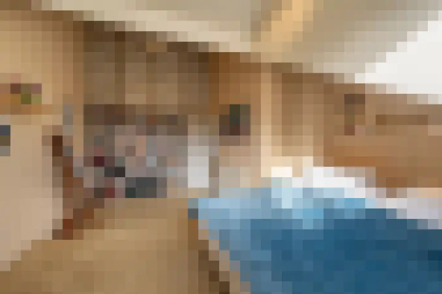 Dorpsstraat 92 Maasdam thumbnail 45