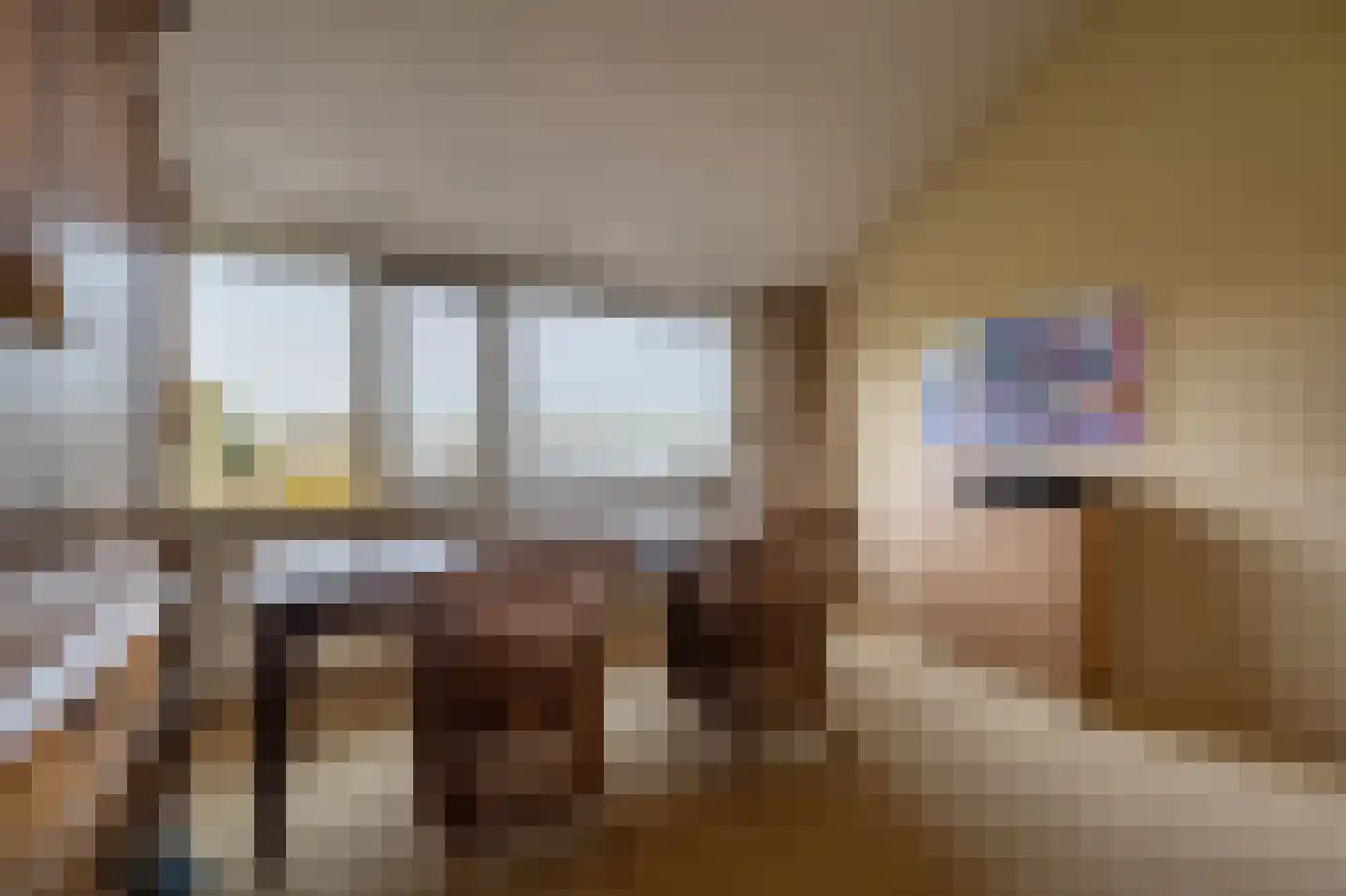 Dorpsstraat 92 Maasdam thumbnail 47