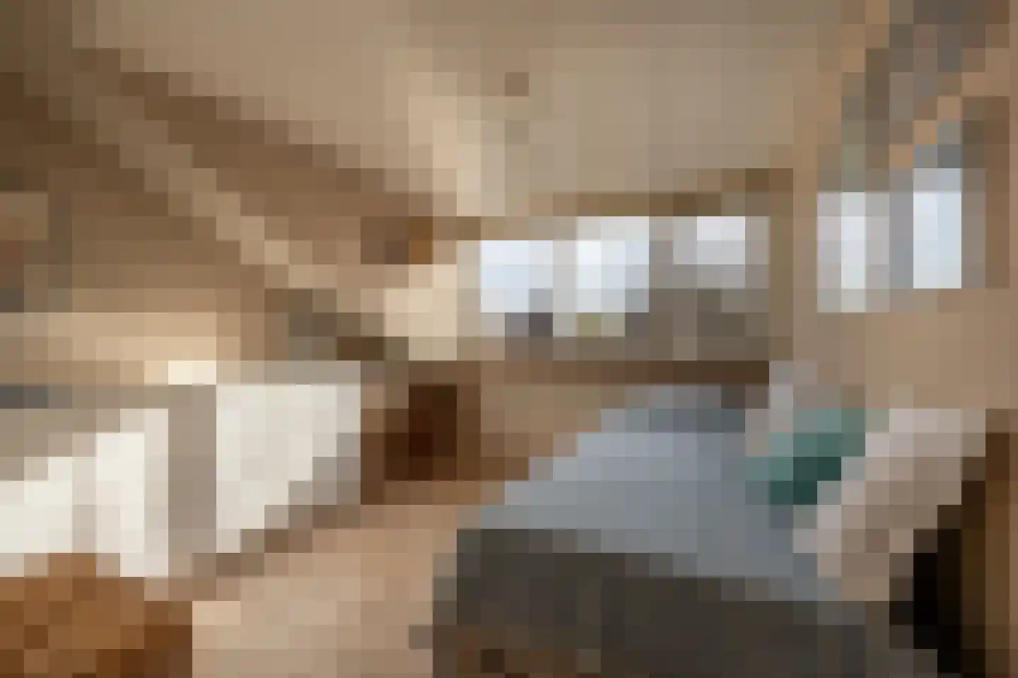 Dorpsstraat 92 Maasdam thumbnail 48