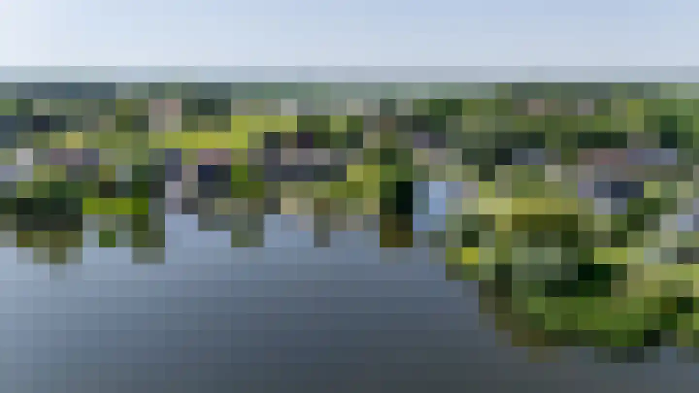 Dorpsstraat 92 Maasdam thumbnail 5