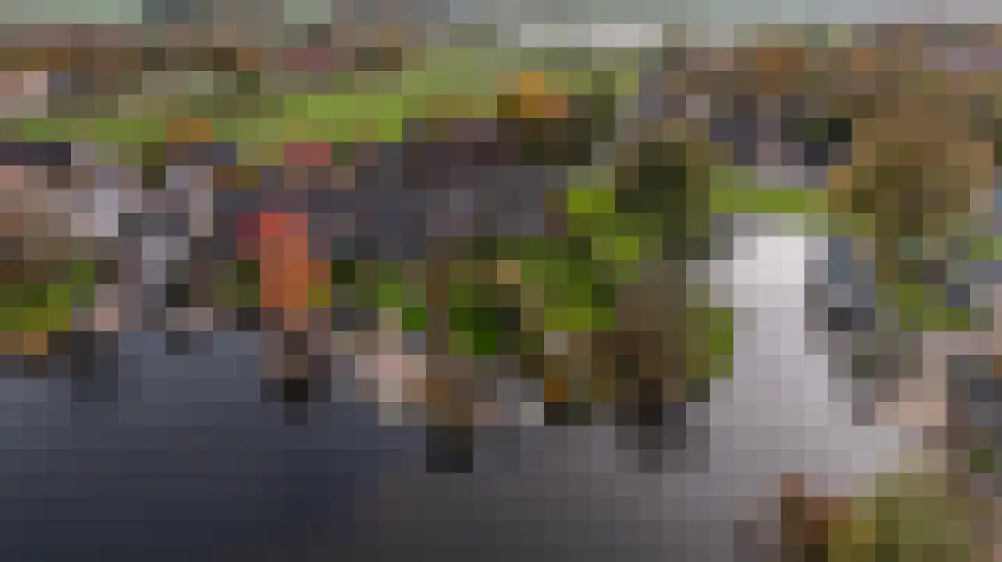 Dorpsstraat 92 Maasdam thumbnail 5