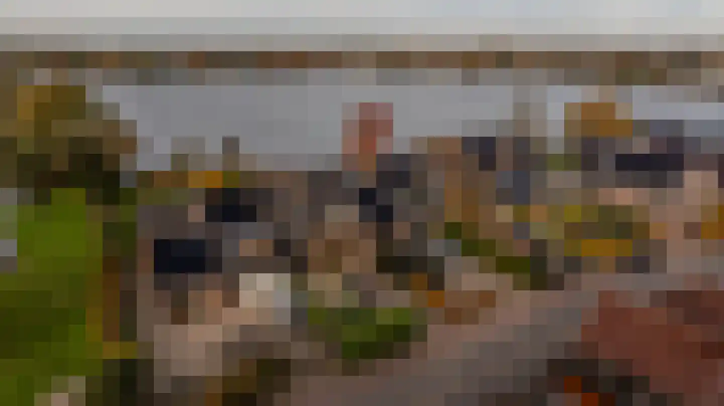 Dorpsstraat 92 Maasdam thumbnail 6