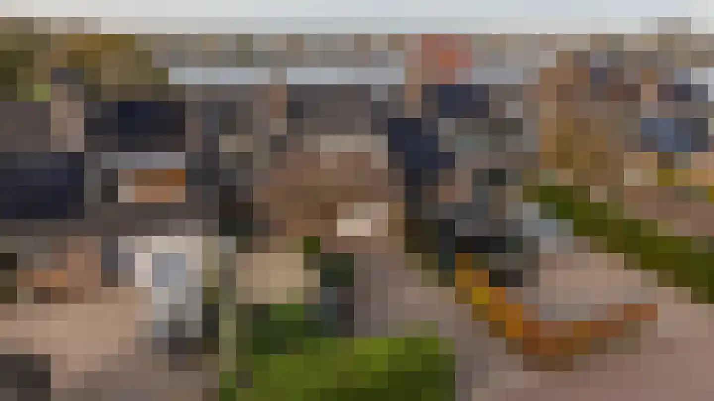 Dorpsstraat 92 Maasdam thumbnail 7