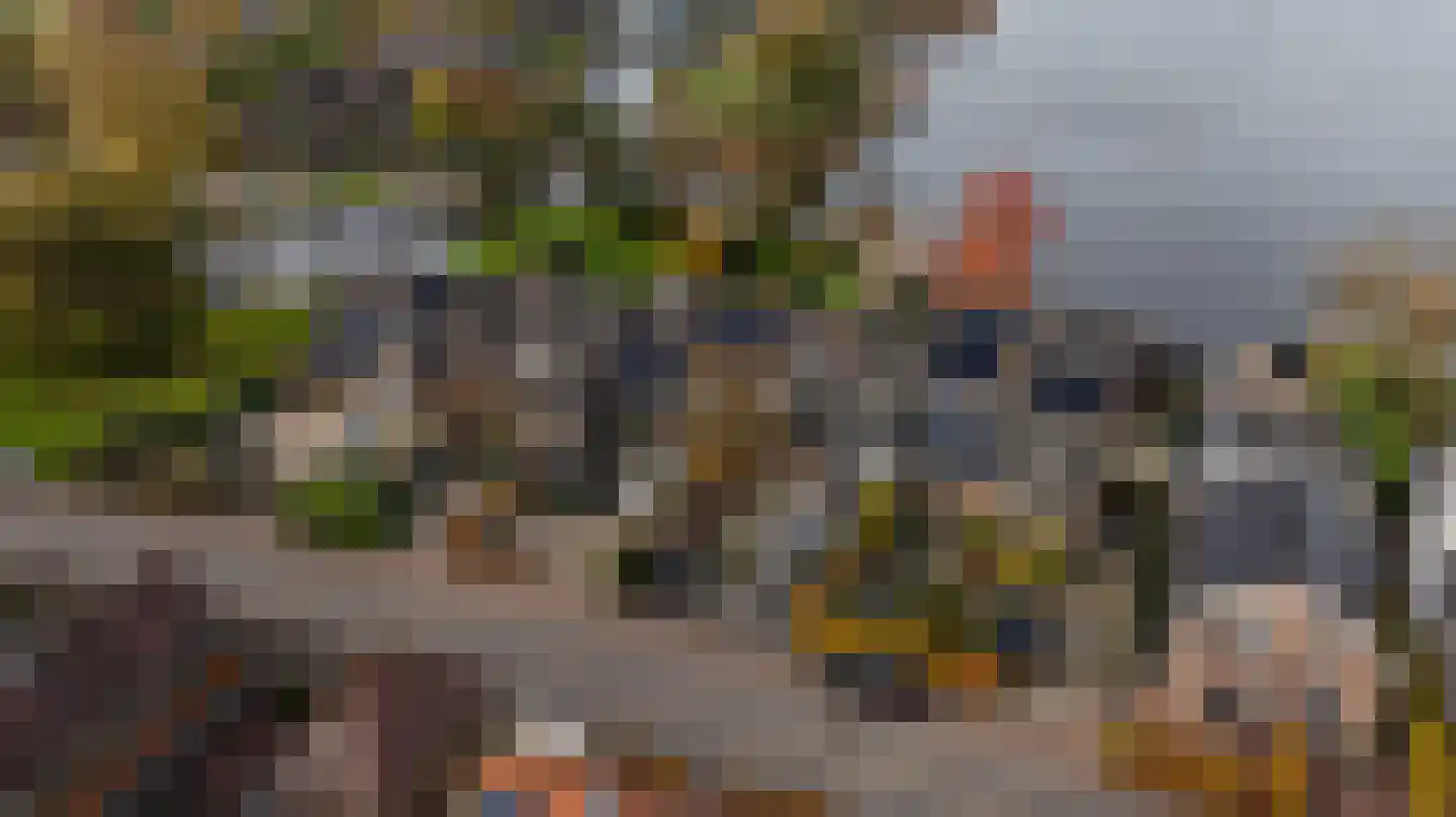 Dorpsstraat 92 Maasdam thumbnail 8