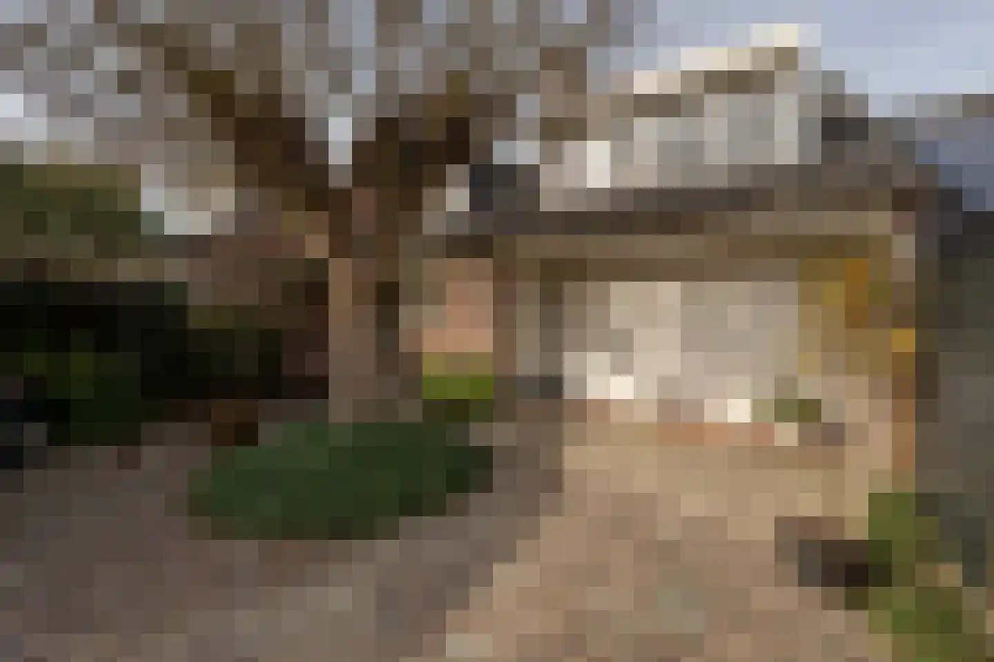 Dorpsstraat 92 Maasdam thumbnail 9