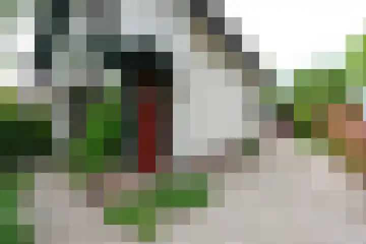 Dorpsstraat 92 Nieuwe Niedorp thumbnail 29
