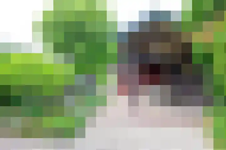 Dorpsstraat 92 Nieuwe Niedorp thumbnail 30