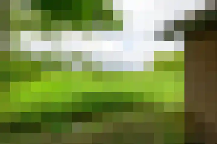 Dorpsstraat 92 Nieuwe Niedorp thumbnail 33
