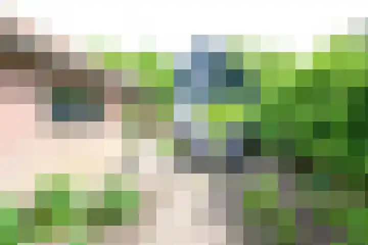 Dorpsstraat 92 Nieuwe Niedorp thumbnail 35