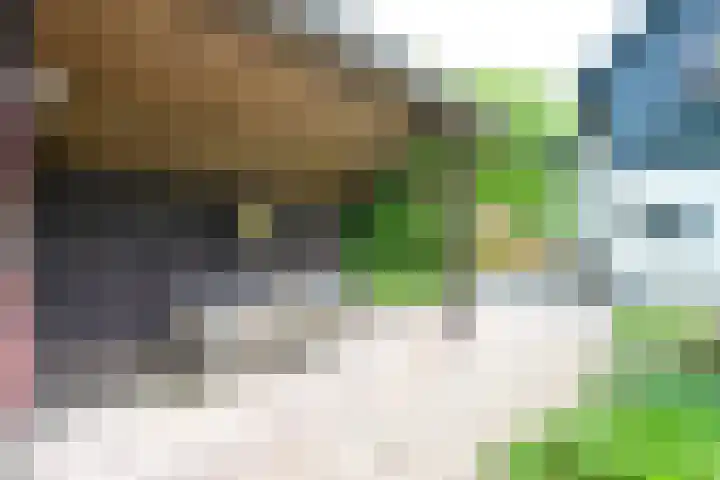 Dorpsstraat 92 Nieuwe Niedorp thumbnail 36