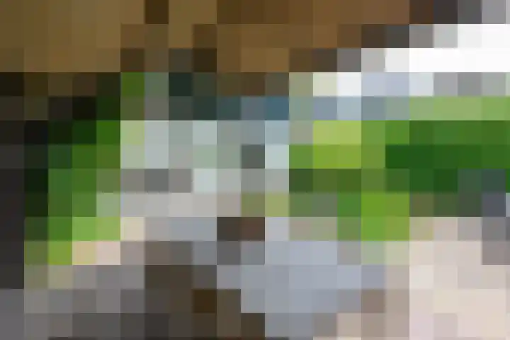Dorpsstraat 92 Nieuwe Niedorp thumbnail 37