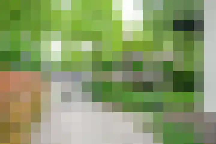 Dorpsstraat 92 Nieuwe Niedorp thumbnail 39