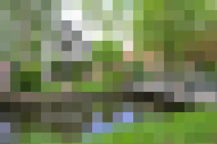 Dorpsstraat 92 Nieuwe Niedorp thumbnail 4