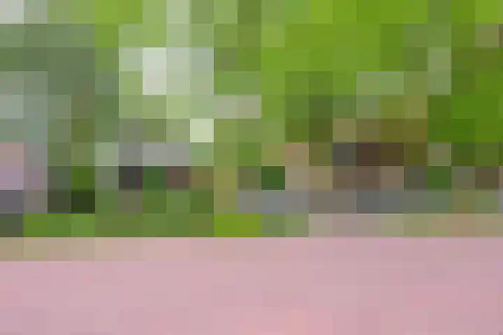 Dorpsstraat 92 Nieuwe Niedorp thumbnail 42