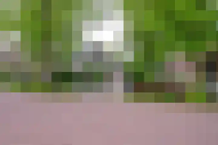 Dorpsstraat 92 Nieuwe Niedorp thumbnail 43