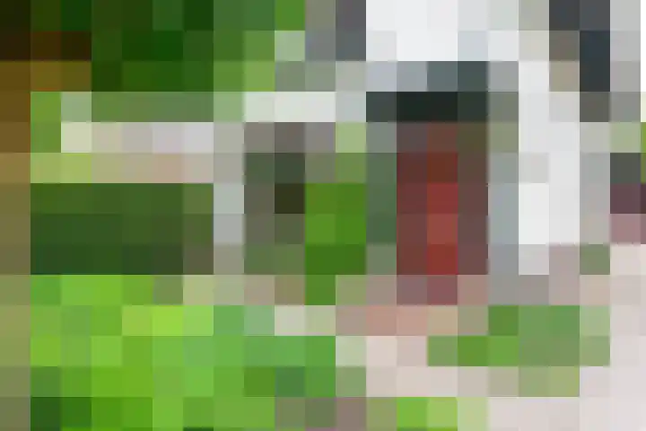 Dorpsstraat 92 Nieuwe Niedorp thumbnail 5