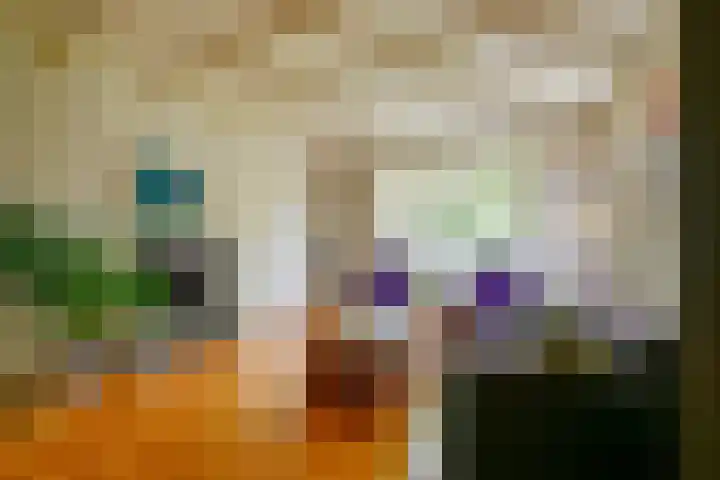 Dorpsstraat 92 Nieuwe Niedorp thumbnail 7