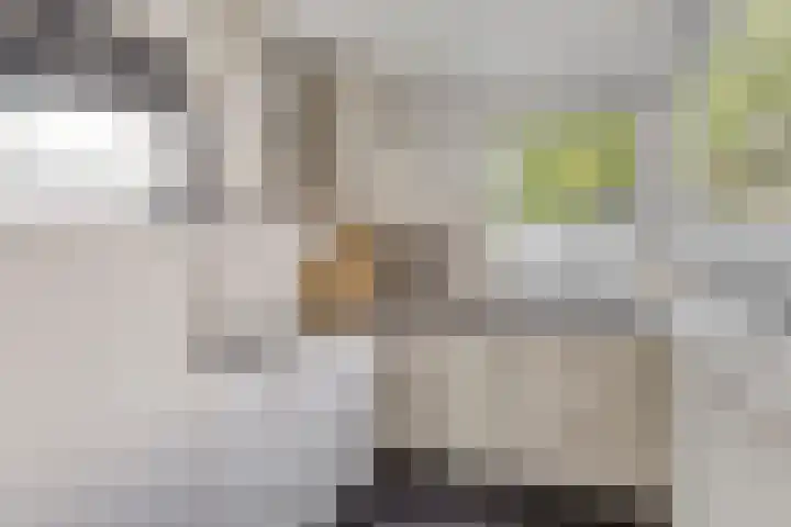Dorpsstraat 92 Ouderkerk aan den IJssel thumbnail 13
